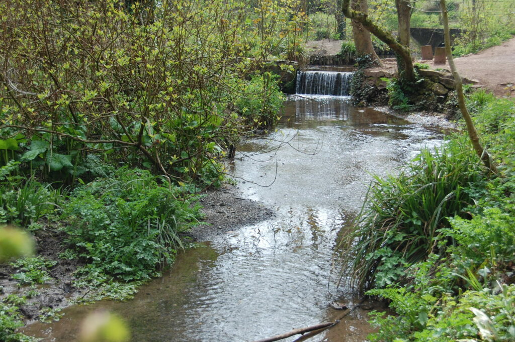 Picture of the ornamental duck pond